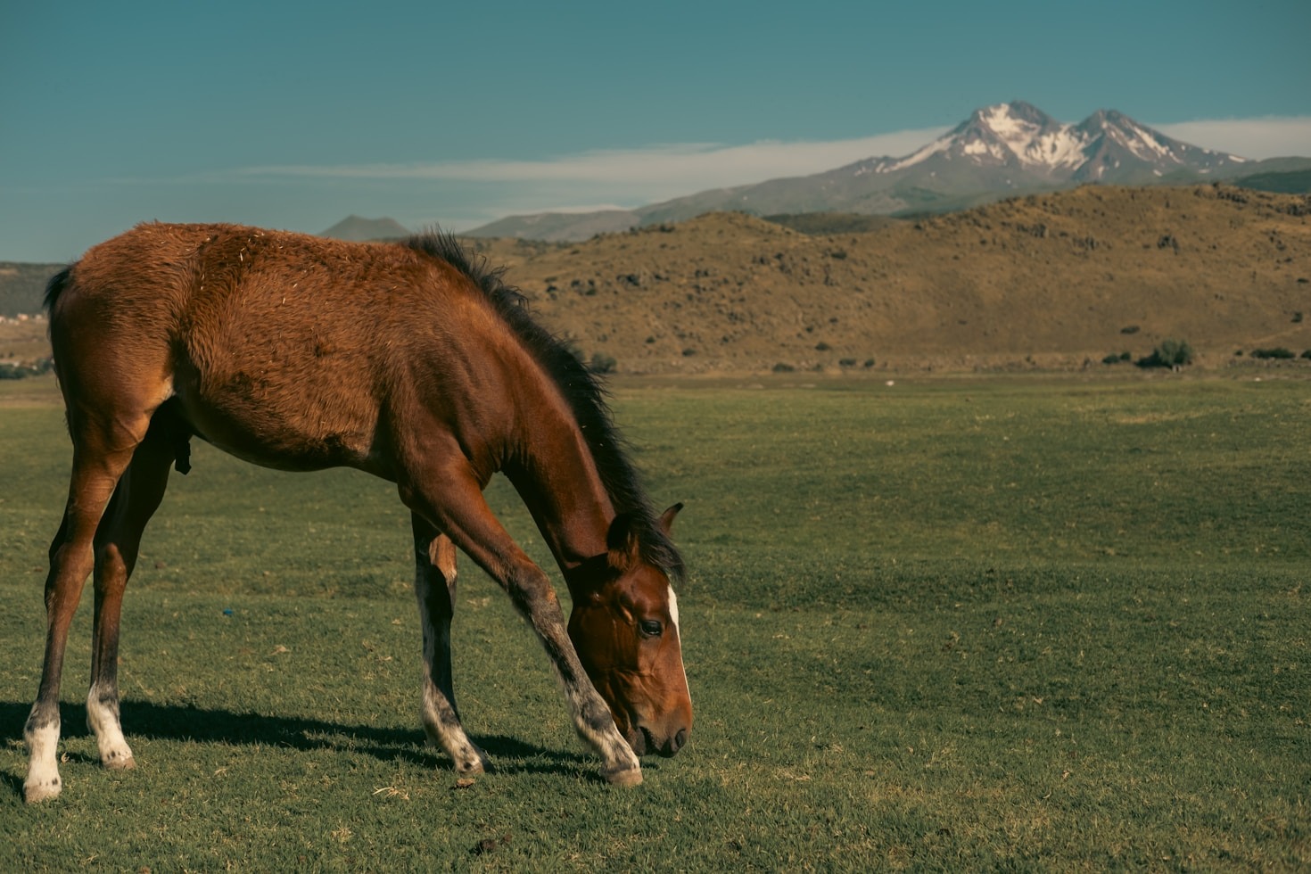 How We Turn Wool Into Cozy Creations