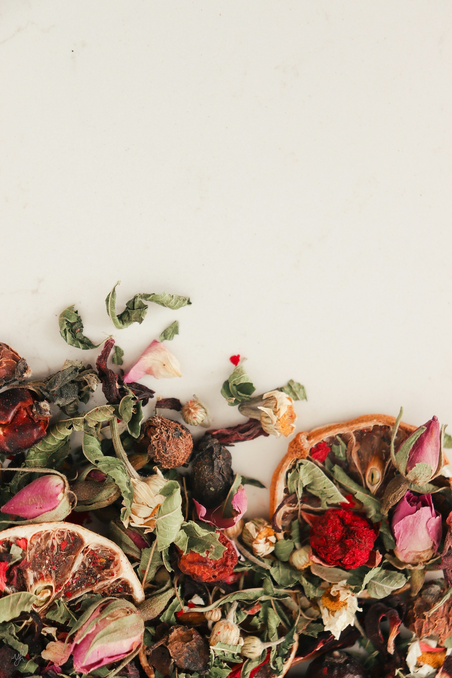 Foraging for Edible Plants: A Beginner’s Guide